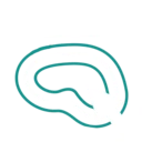 Citywide Violation Heat Map Icon